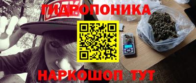 прущие грибы Канаш