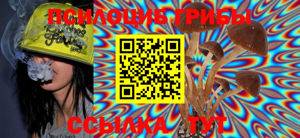 Галлюциногенные грибы MAGIC MUSHROOMS Моздок